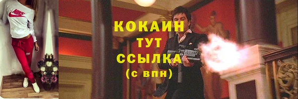 соль ск Богданович
