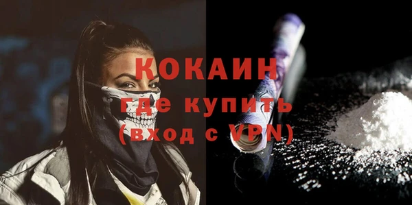 соль ск Богданович