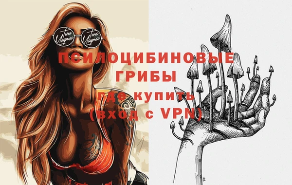 дурь Богородицк