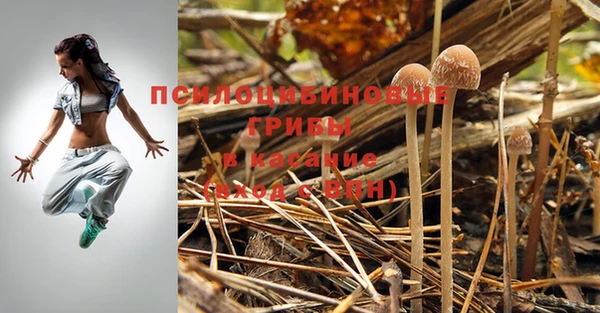 молекула духа Бронницы