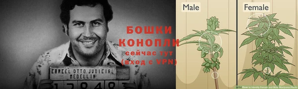 молекула духа Бронницы