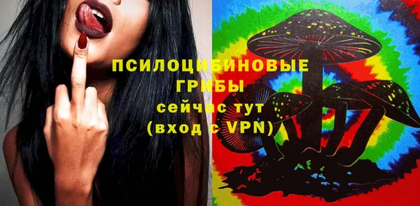 прущая мука Богородск