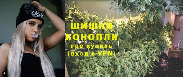 дурь Богородицк