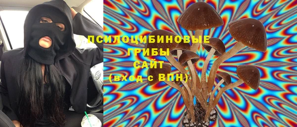 соль ск Богданович