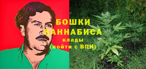 молекула духа Бронницы