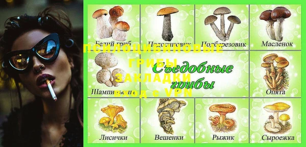 соль ск Богданович