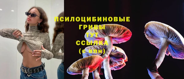 герыч Горнозаводск
