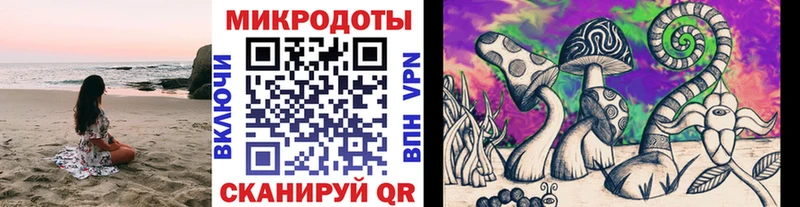 Псилоцибиновые грибы GOLDEN TEACHER  Кстово 